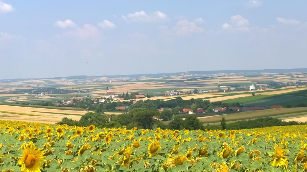 Appartamento Traubengarten Winkler Niederhollabrunn Esterno foto